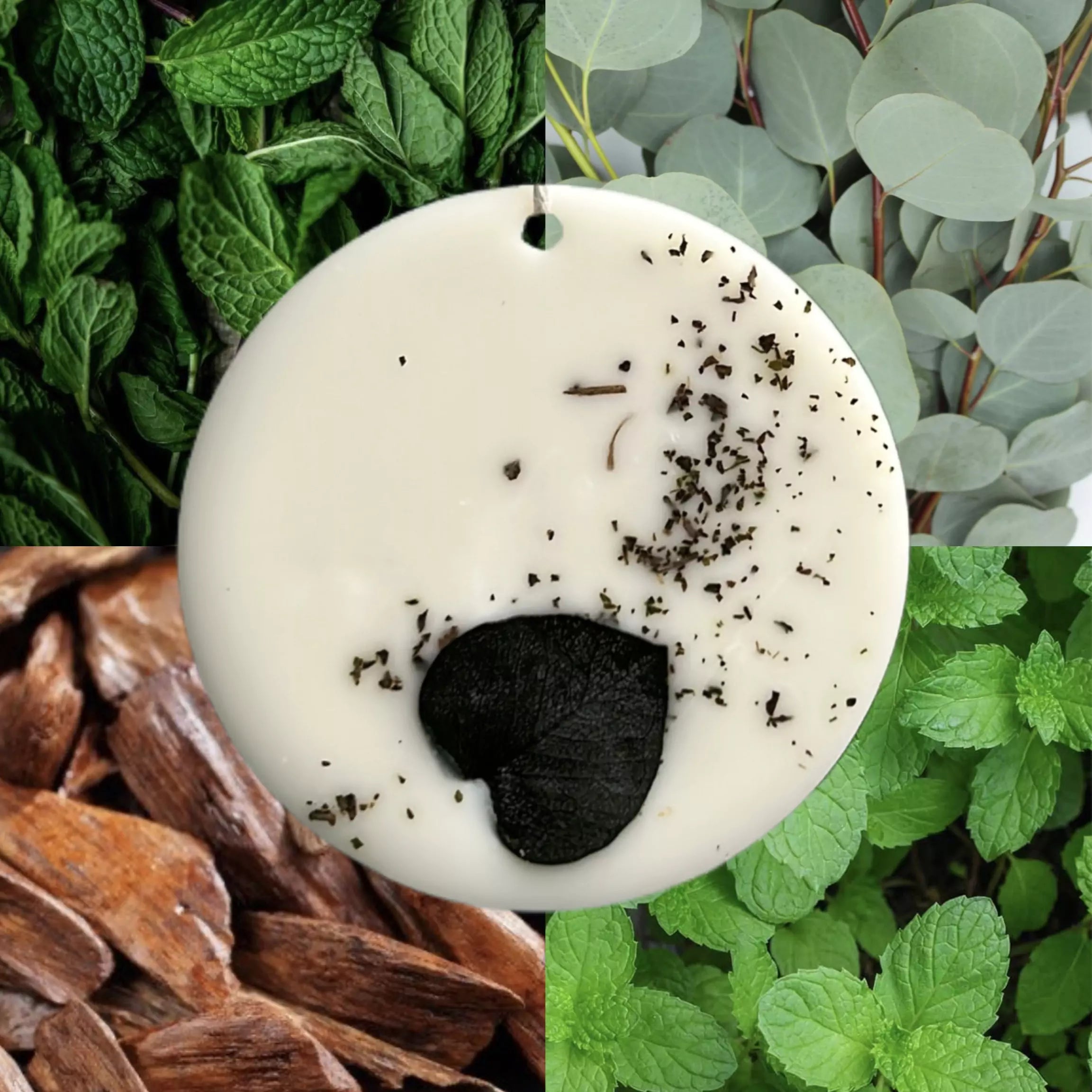 ecomposer-scent-mint-eucalyptus